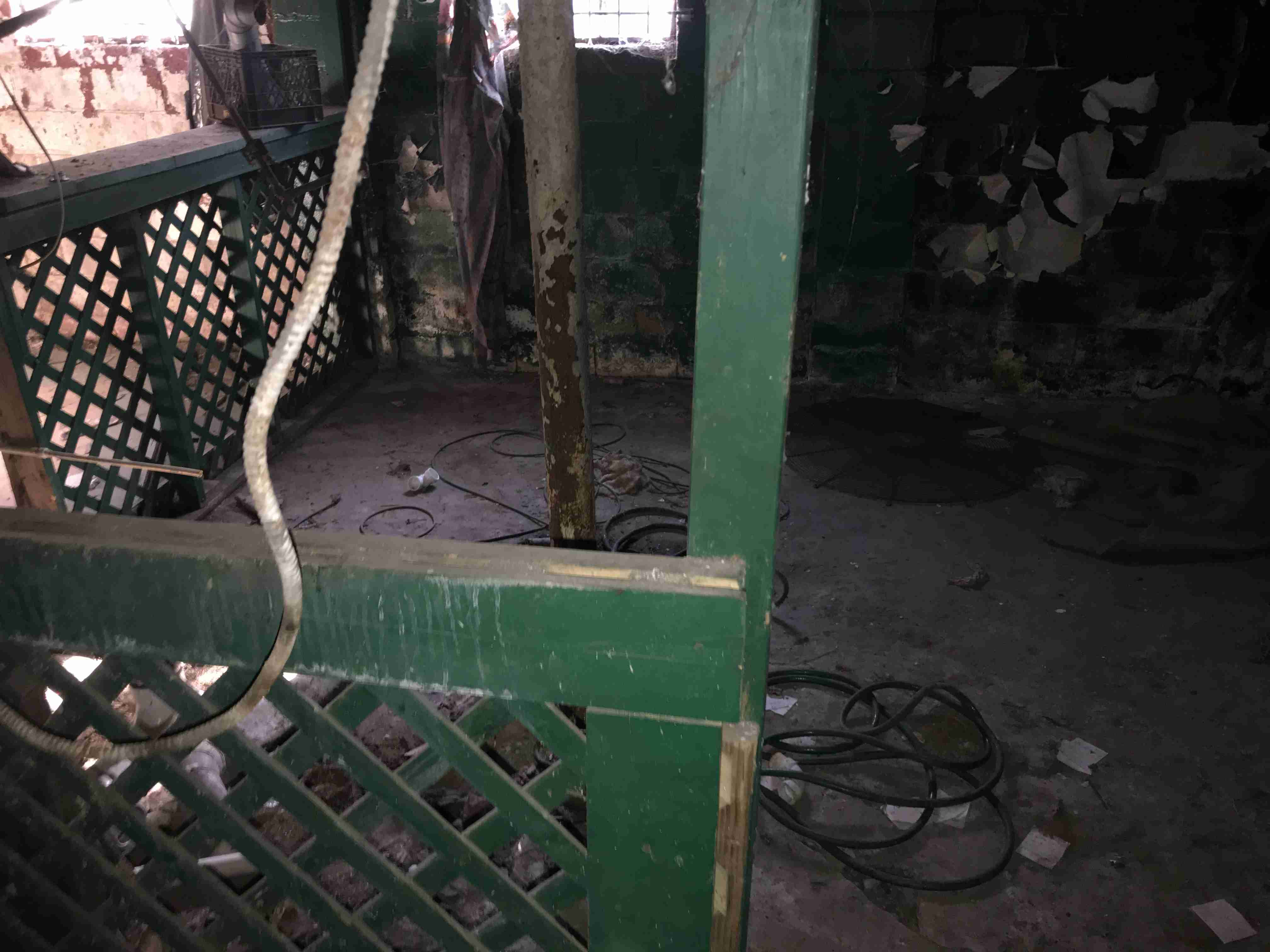 Photo Nov 03, 11 30 22 AM.jpg